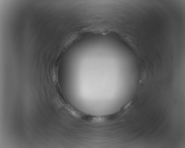X0000081410335200701120924