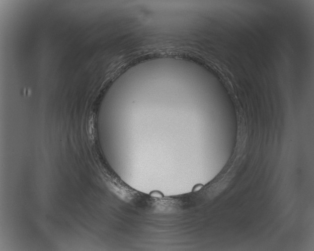 X0000081410336200701120924