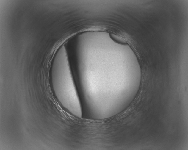 X0000081410337200701120924