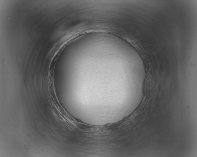 X0000081410338200701120924