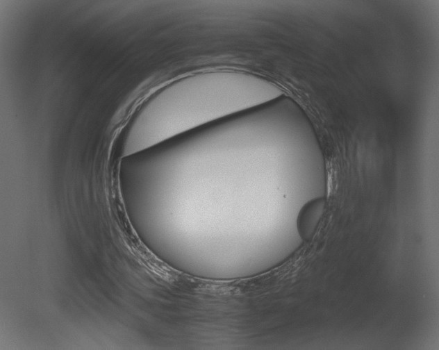 X0000081410339200701120924