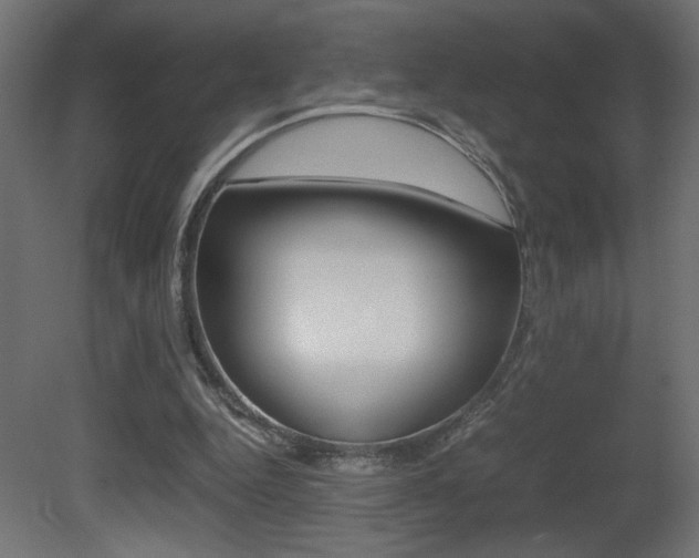 X0000081410344200701120924