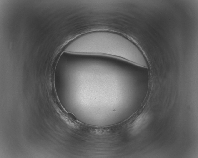 X0000081410345200701120924
