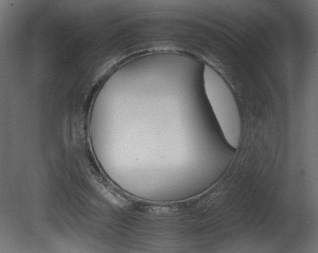 X0000081410347200701120924