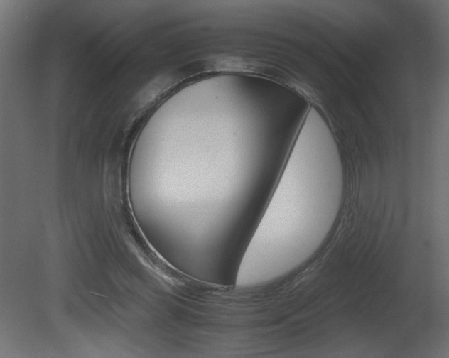 X0000081410349200701120924