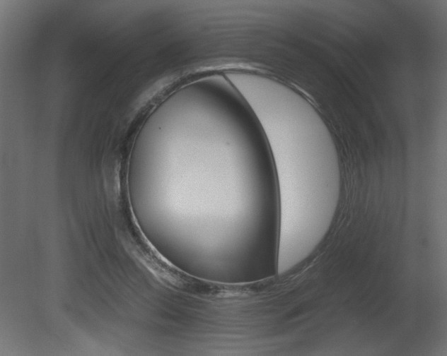 X0000081410350200701120924
