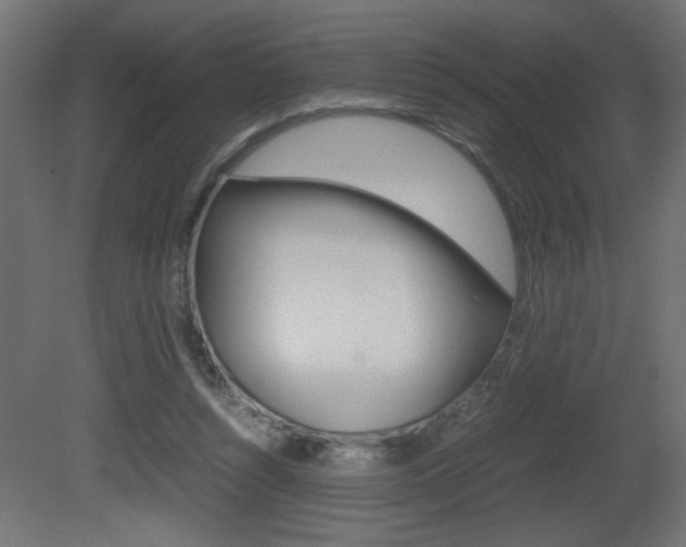 X0000081410352200701120924