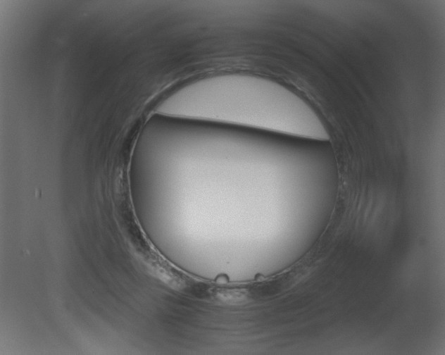 X0000081410355200701120924