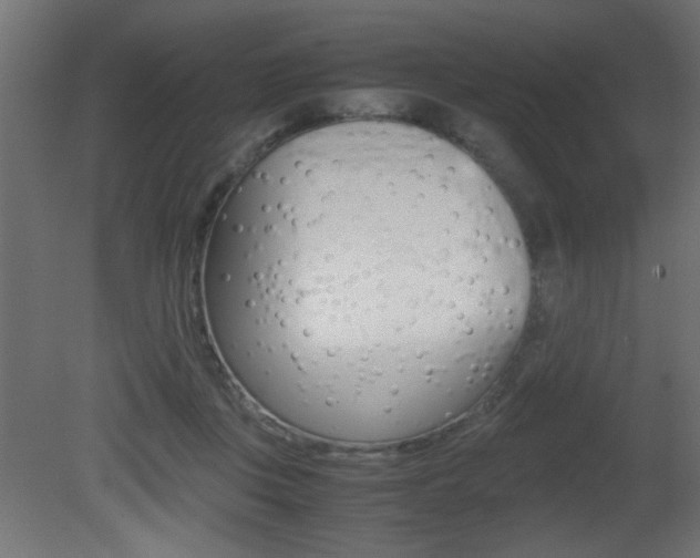X0000081410359200701120924