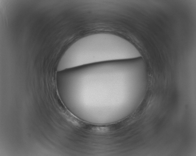 X0000081410361200701120924