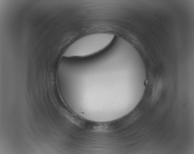 X0000081410362200701120924