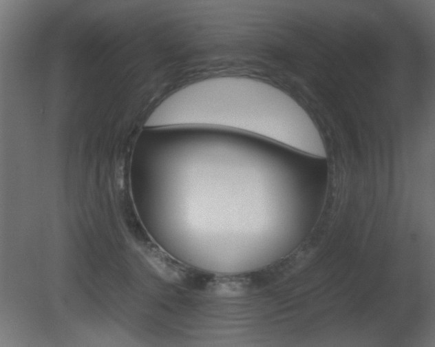 X0000081410368200701120924