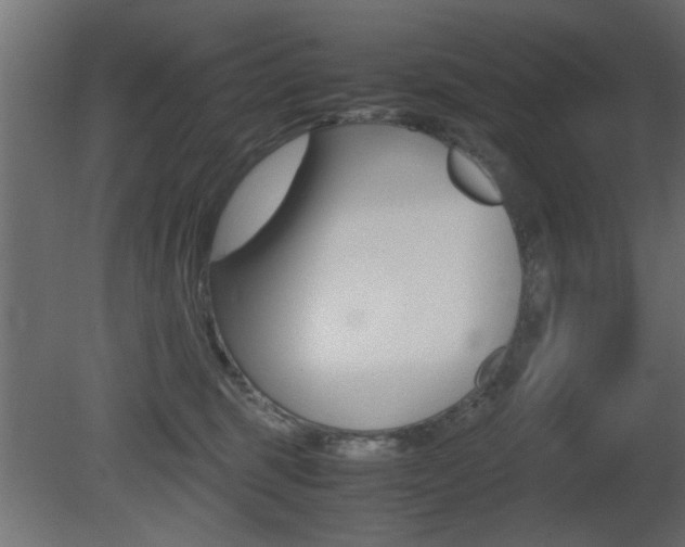 X0000081410375200701120924