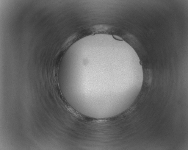 X0000081410378200701120924