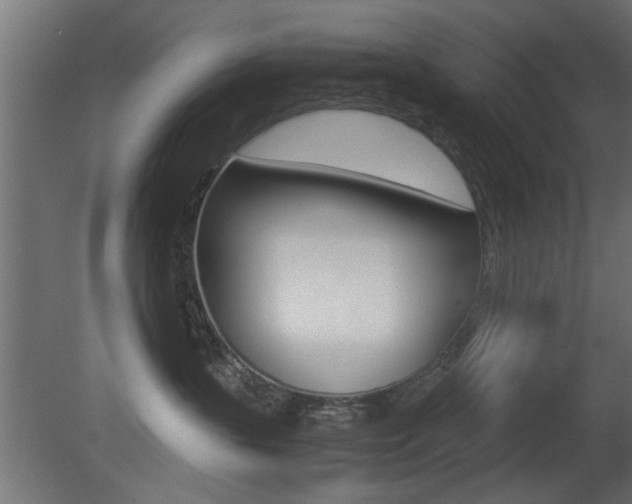 X0000081410383200701120924