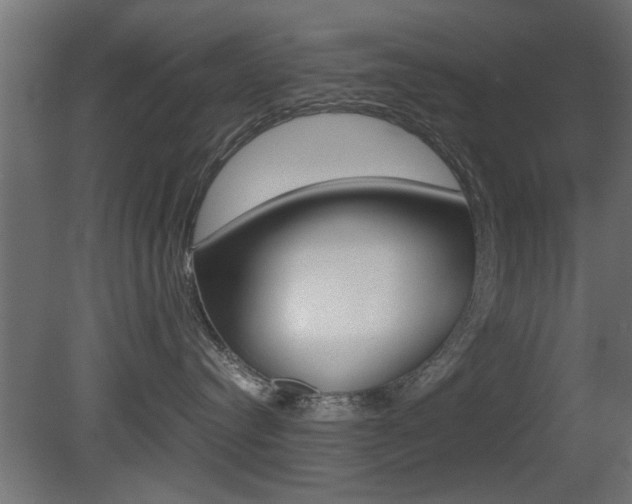 X0000081410384200701120924