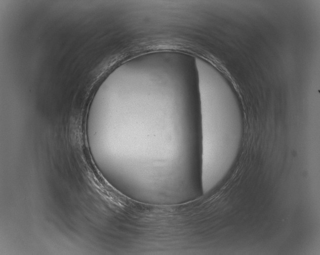 X0000081410386200701120924