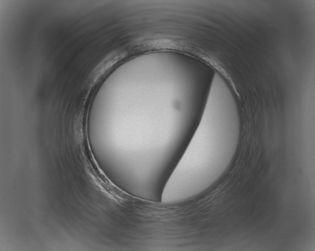 X0000081410390200701120923