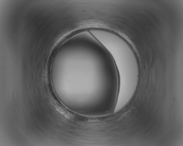 X0000081410391200701120923