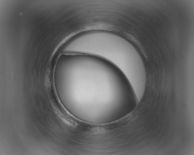 X0000081410392200701120923