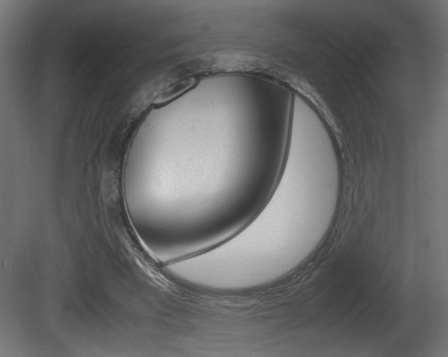 X0000081410393200701120923