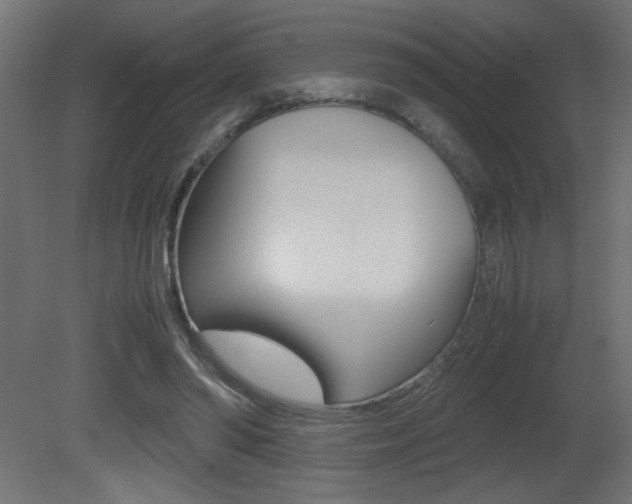 X0000081410398200701120923