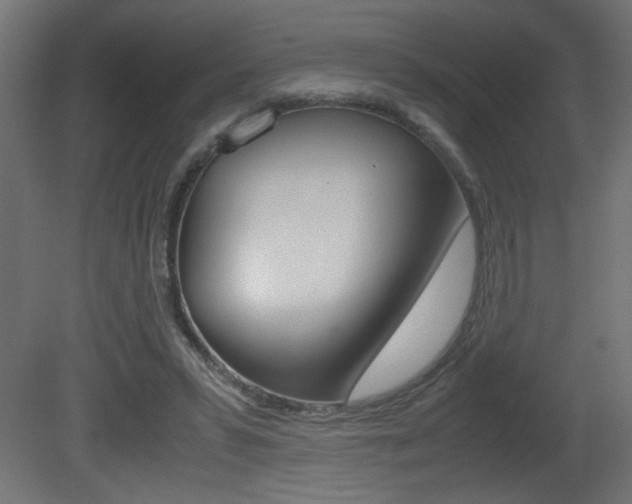 X0000081410399200701120923