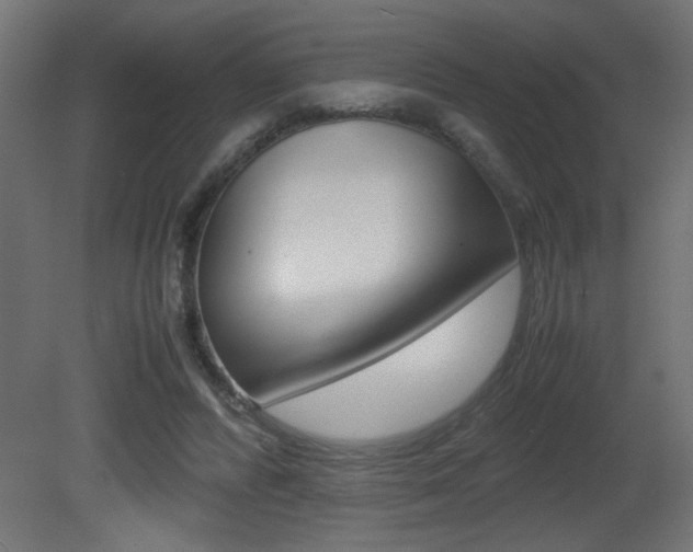 X0000081410400200701120923
