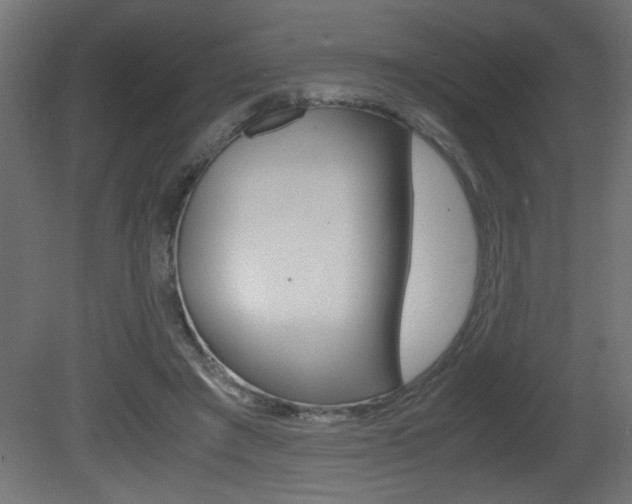 X0000081410401200701120923