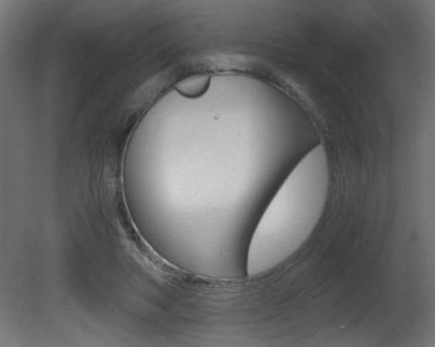X0000081410402200701120923