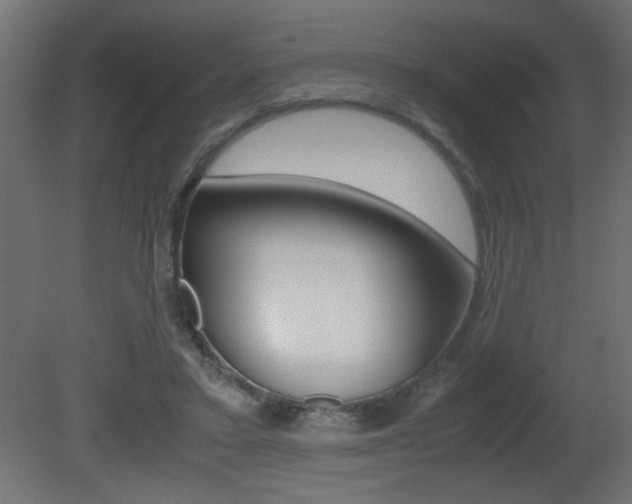 X0000081410403200701120923