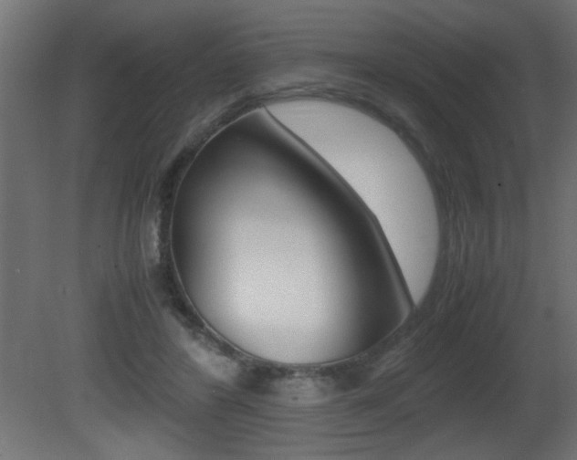 X0000081410404200701120923