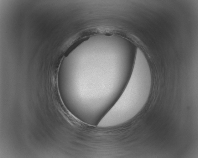 X0000081410405200701120923