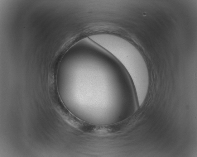 X0000081410407200701120923