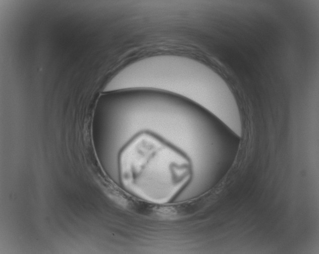 X0000081410409200701120923