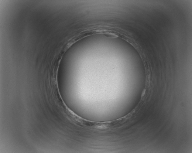 X0000081410411200701120923