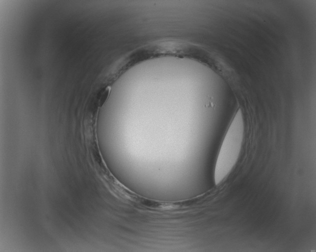 X0000081410413200701120923