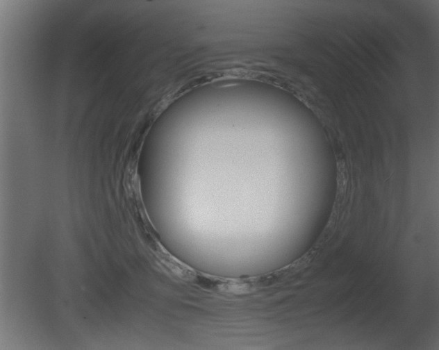 X0000081410419200701120923