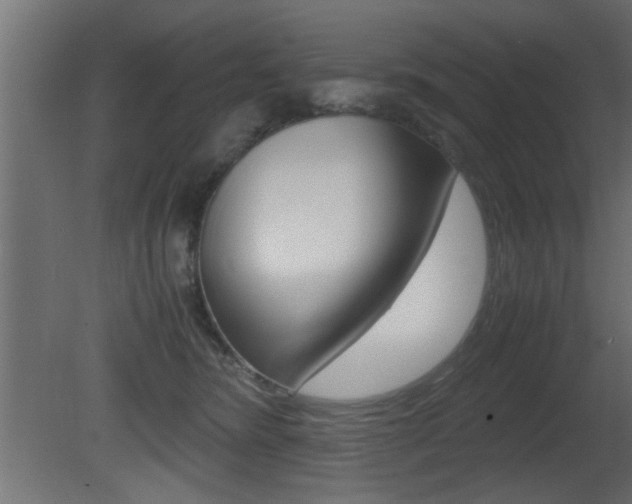 X0000081410420200701120923