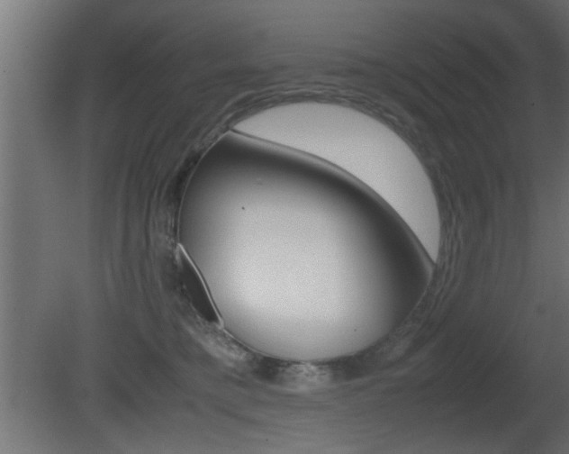 X0000081410421200701120923