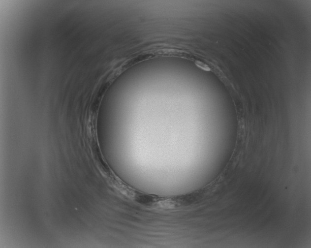 X0000081410423200701120923