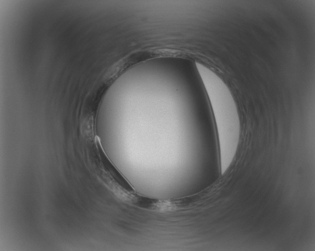 X0000081410425200701120923