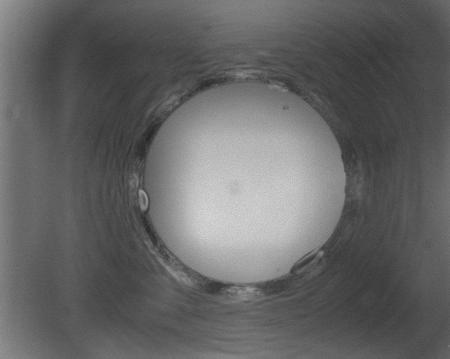 X0000081410427200701120923