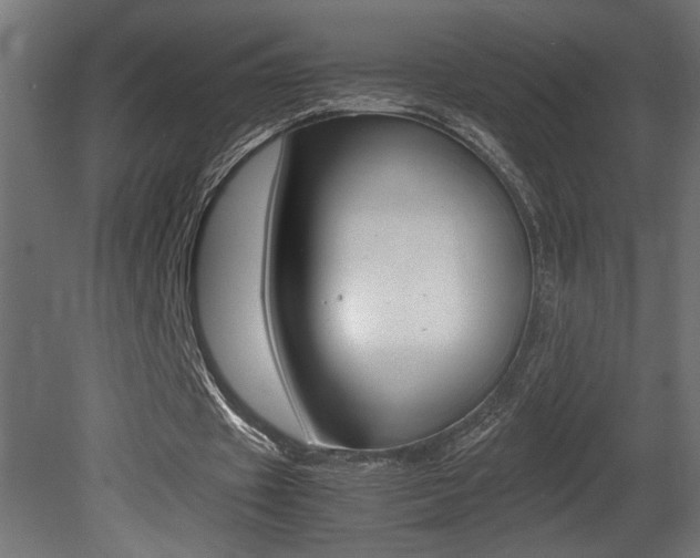 X0000081410433200701120922