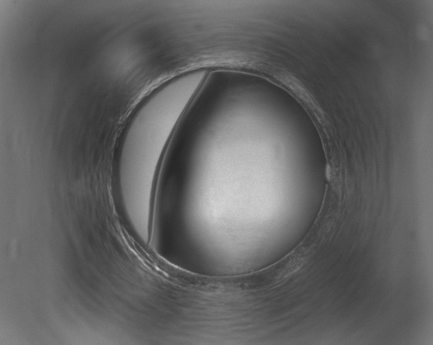 X0000081410434200701120922
