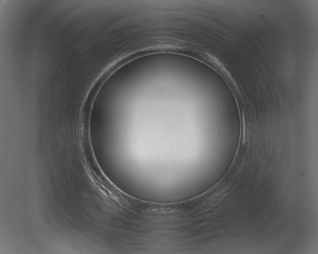 X0000081410435200701120922