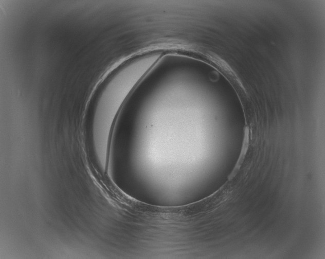 X0000081410436200701120922