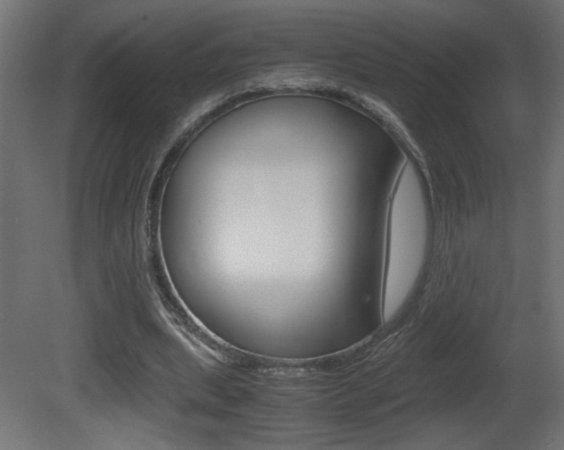 X0000081410439200701120922