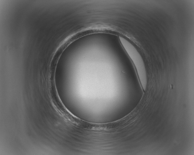 X0000081410440200701120922