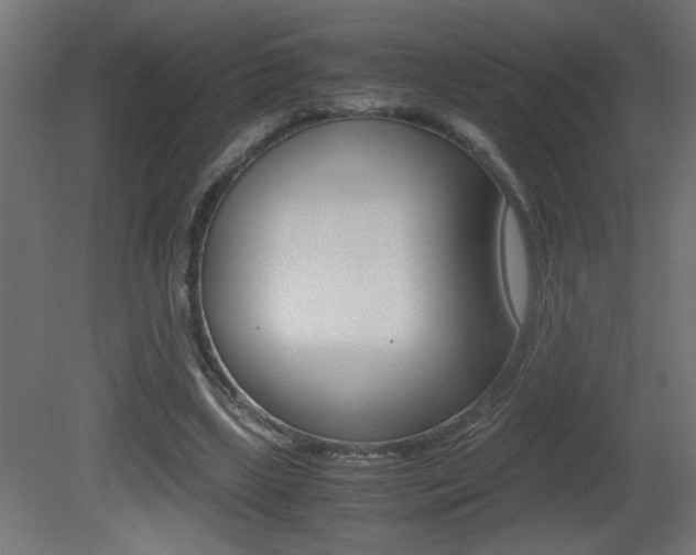 X0000081410443200701120922